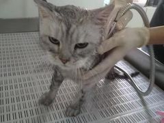 -宠颐生动物医院·小陆分院
