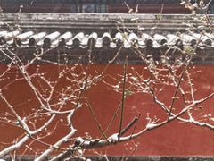 -北京植物园-展览温室