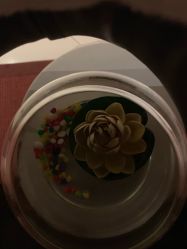 -法国安杰玛SPA会所