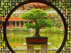 -深圳仙湖植物园