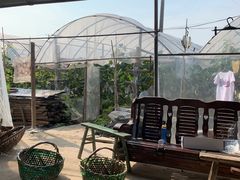 -马陆小张葡萄园农家乐