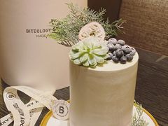 -Biteology Artisan Cakes(红庄·国际文化保税创新园店)