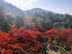 -有栖山 清光院 清水寺