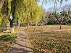 -石家庄市植物园