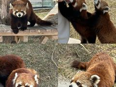 -水上乐园·欢乐世界