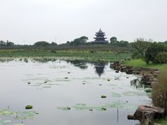 -上海海湾国家森林公园