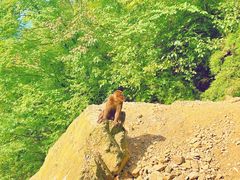 -九峰山