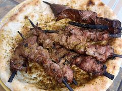-艾力江和田馕坑烤肉店