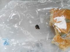 -威利发(莱山芳花园店)