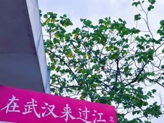 -武昌江滩