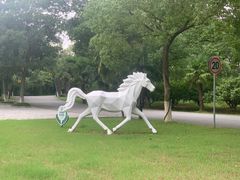 -白马涧龙池景区