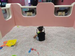 -多米空间儿童游乐中心(路劲世界广场店)