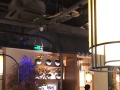 -首秀·四川料理(星耀101店)