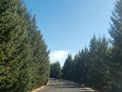 -塞罕坝国家级自然保护区