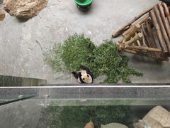 -天目湖御水温泉·度假酒店