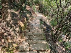 -杭州半山国家森林公园