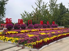 -大兴滨河森林公园