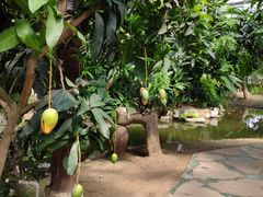 -南通洲际绿博园