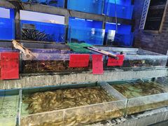 -紫腾大院·南京菜(江宁店)