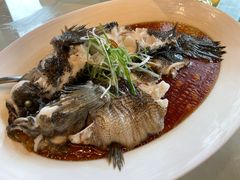 -洋洋中餐馆·SINCE 1997(信投店)