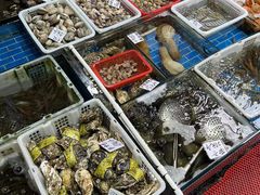 -船奇蒸汽海鲜·闽菜(八市海鲜总店)