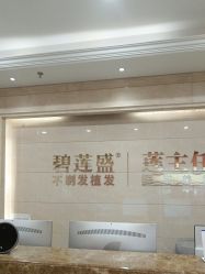 -碧莲盛·不剃发植发