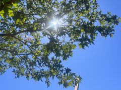 -大连体育中心体育馆