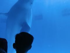 -皇家极地海洋世界-售票处