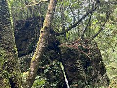 -西岭雪山大飞水景区