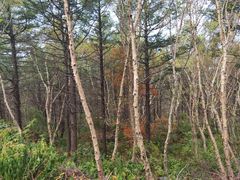 -白草畔自然风景区