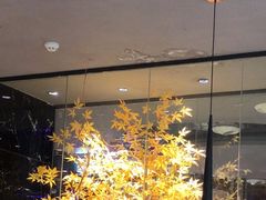 -吉布鲁牛排海鲜自助(成都大悦城店)
