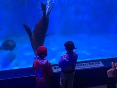 -皇家极地海洋世界-售票处