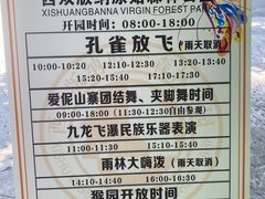 -西双版纳原始森林公园