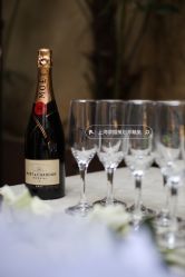 -迈瑞米求婚策划(静安店)