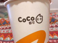 -CoCo都可(骆家庄新店)