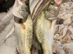 -合家小菜餐馆(新诚花苑店)