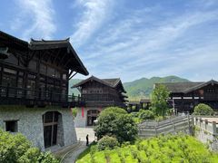 -大唐贡茶院