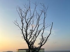 -舟山嵊泗列岛风景名胜区
