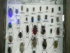 -中国杭州低碳科技馆