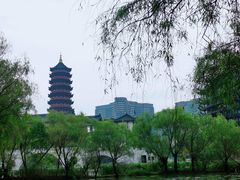 -长兴太湖图影湿地文化园