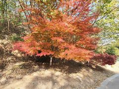 -南山风景名胜区