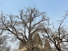 -北京石刻艺术博物馆(五塔寺)
