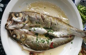 White Teacher Fish
