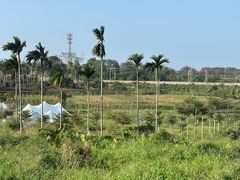 -侯臣咖啡文化村