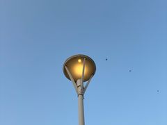 -渭河城市绿地运动公园