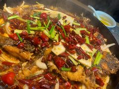 -老板恋上鱼(恒隆广场店)