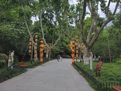 -杭州黄龙洞