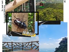 -广东罗浮山风景名胜区