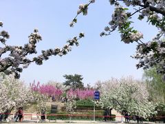 -元大都城垣遗址公园