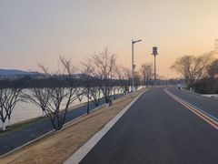 -羊山湖公园